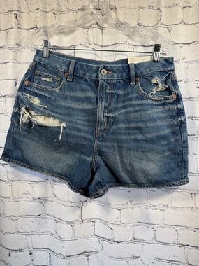 American Eagle Outfitters Mom Short Curvy 31w 12 Strigid NWT
